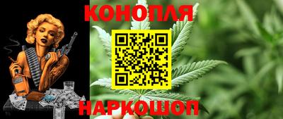 крисы Будённовск