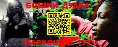 крисы Будённовск