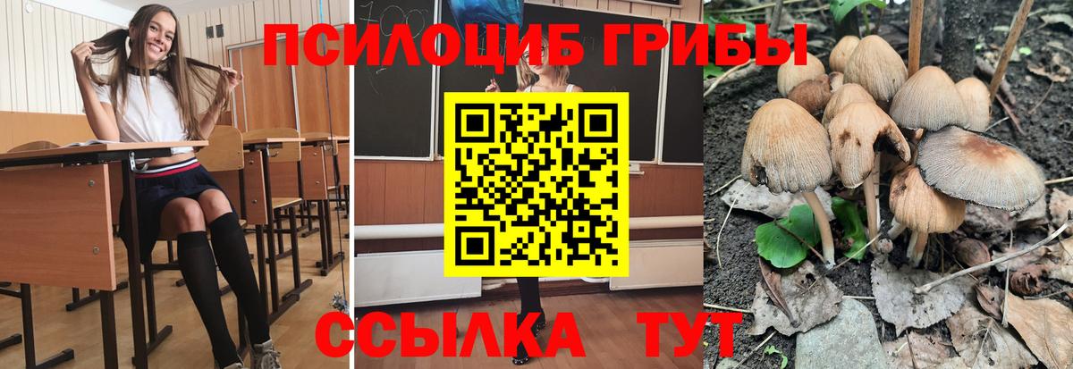 Самара  Галлюциногенные грибы Psilocybine cubensis  Вход с VPN  Галлюциногенные грибы ЛСД 