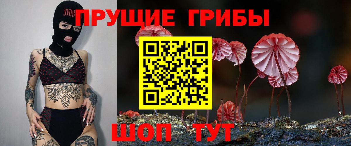 Псилоцибиновые грибы GOLDEN TEACHER Самара